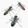 Ant Armor Metal Model Kit Comes With A Three-color Shell_001