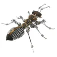 Ant Armor Metal Model Kit Comes With A Three-color Shell_004