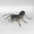 Ant Armor Metal Model Kit Comes With A Three-color Shell_006
