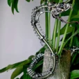 Mechanical Rattlesnake Metal Model Kit Eye-Catching Office Showpiece_005