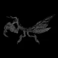 MetalModelHub-Mechanical-Mantis-3D-Metal-Model-Building-Kit-For-Gift-And-Collector_024