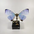 3d-metal-mechanical-butterfly-music-box-diy-moving-model-gift-01