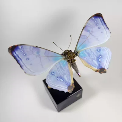 3D Metal Mechanical Butterfly Music Box – DIY Moving Model & Gift