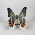 mechanical-butterfly-3d-metal-model-creative-gift-for-her-03